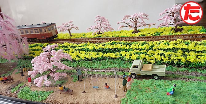 しだれ桜とソメイヨシノと菜の花10.jpg
