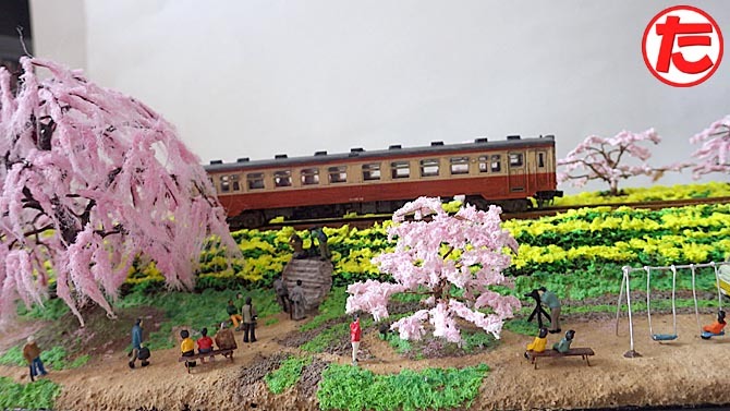 しだれ桜とソメイヨシノと菜の花12.jpg
